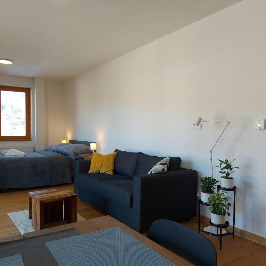 Studio Apartman 22, Rezidence Javor Zelezna Ruda Bagian luar foto