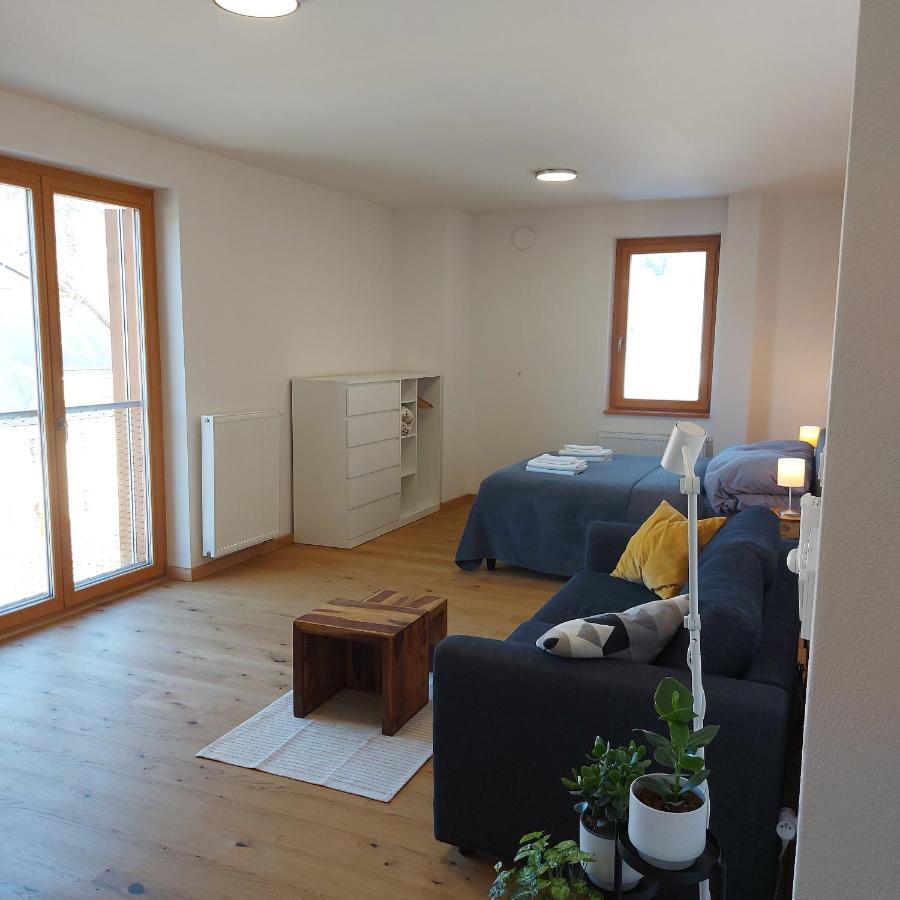 Studio Apartman 22, Rezidence Javor Zelezna Ruda Bagian luar foto