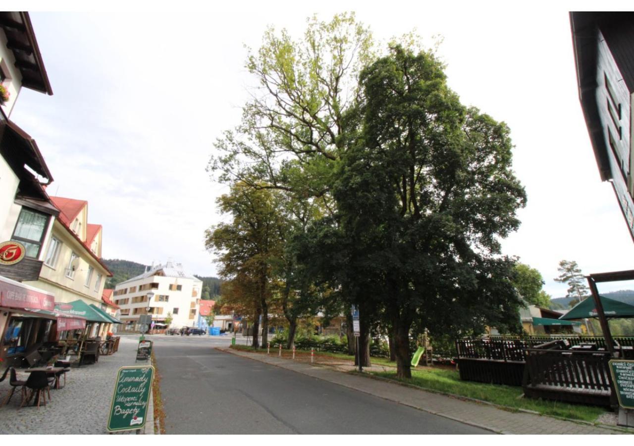 Studio Apartman 22, Rezidence Javor Zelezna Ruda Bagian luar foto