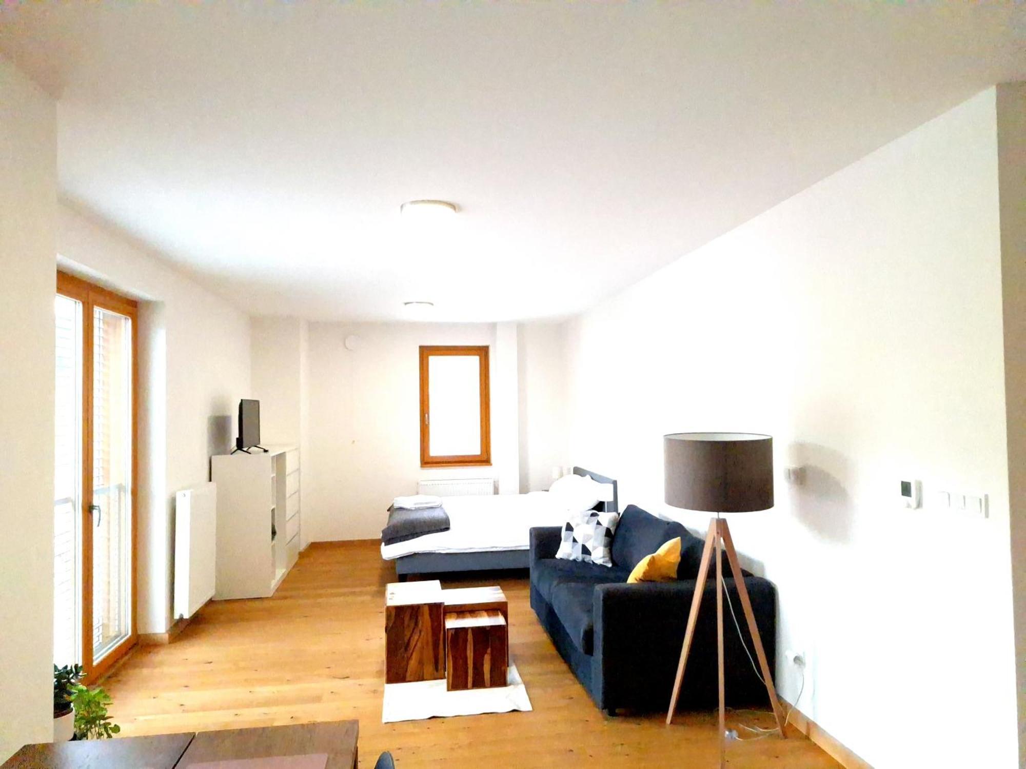 Studio Apartman 22, Rezidence Javor Zelezna Ruda Bagian luar foto